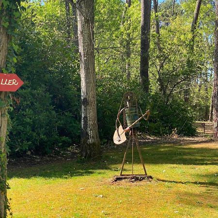 Le Petit Poulailler Au Beau Milieu Des Pins Villa Lacanau Exteriör bild