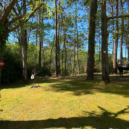 Le Petit Poulailler Au Beau Milieu Des Pins Villa Lacanau Exteriör bild