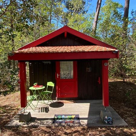 Le Petit Poulailler Au Beau Milieu Des Pins Villa Lacanau Exteriör bild