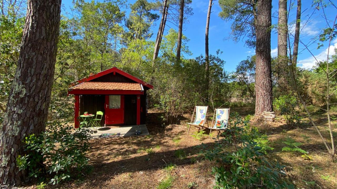Le Petit Poulailler Au Beau Milieu Des Pins Villa Lacanau Exteriör bild