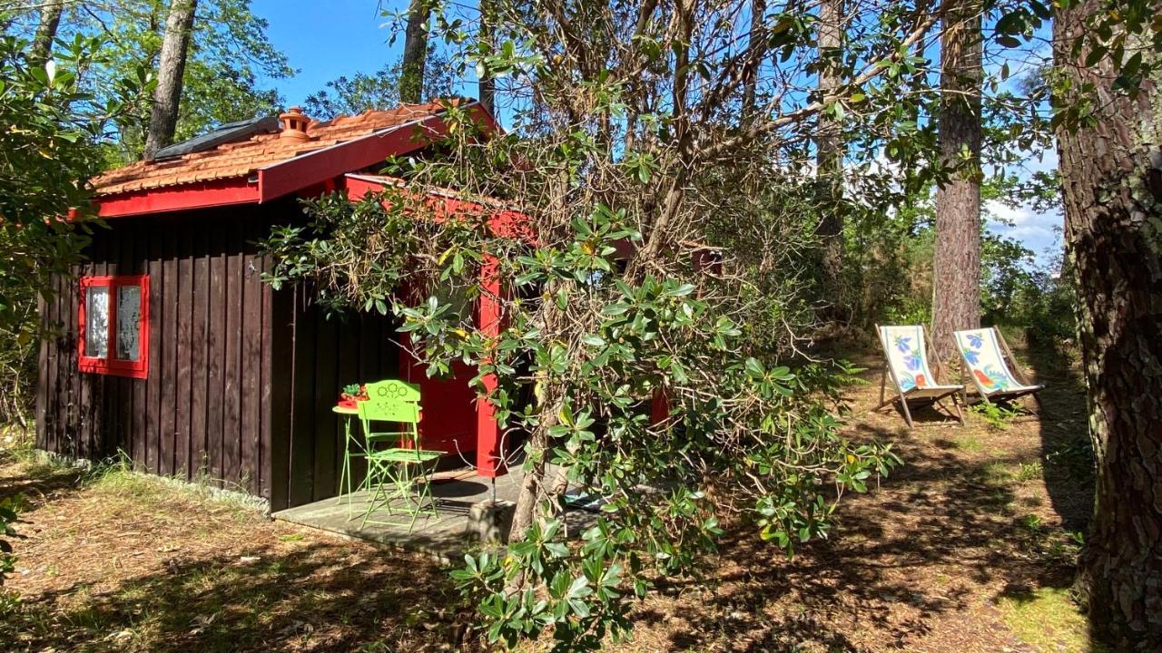Le Petit Poulailler Au Beau Milieu Des Pins Villa Lacanau Exteriör bild