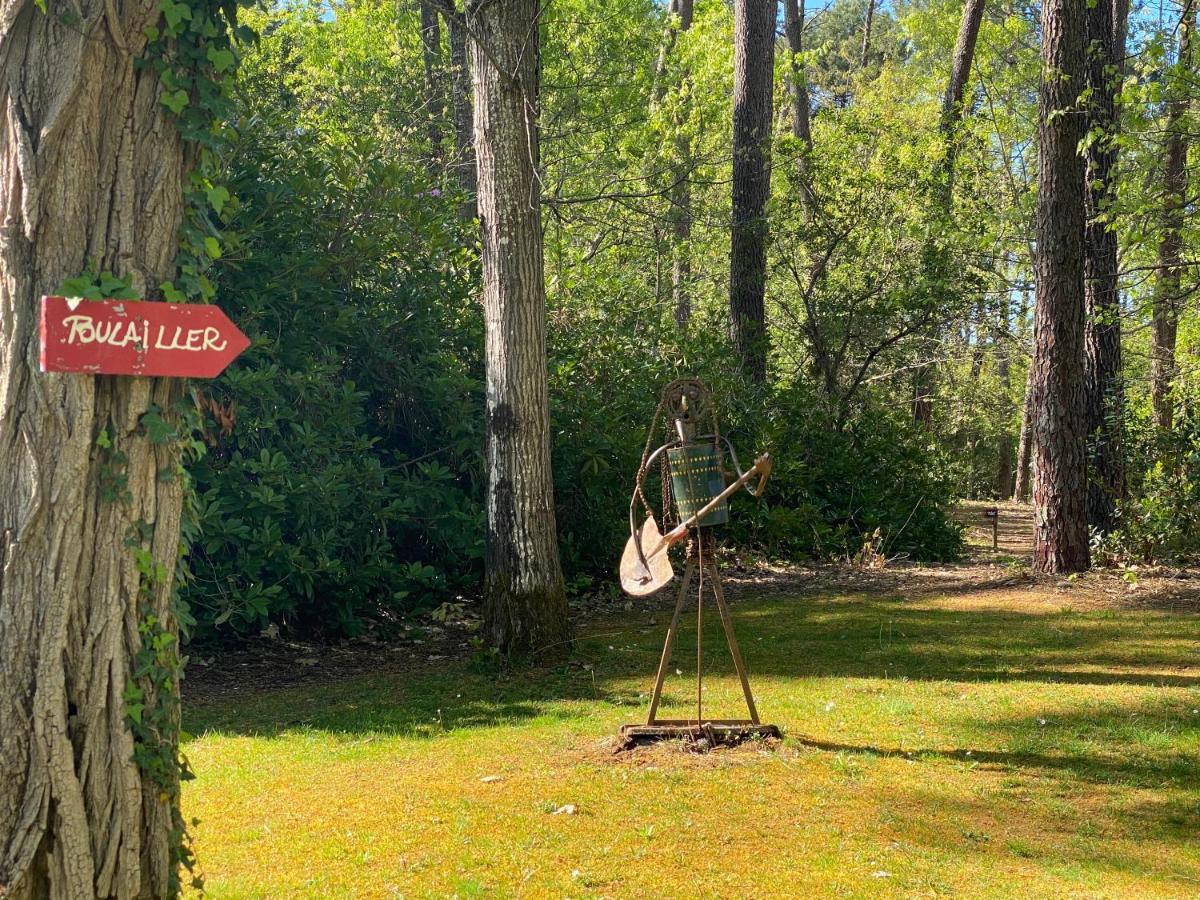 Le Petit Poulailler Au Beau Milieu Des Pins Villa Lacanau Exteriör bild