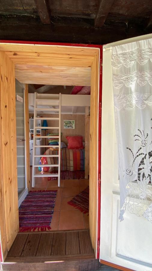 Le Petit Poulailler Au Beau Milieu Des Pins Villa Lacanau Exteriör bild