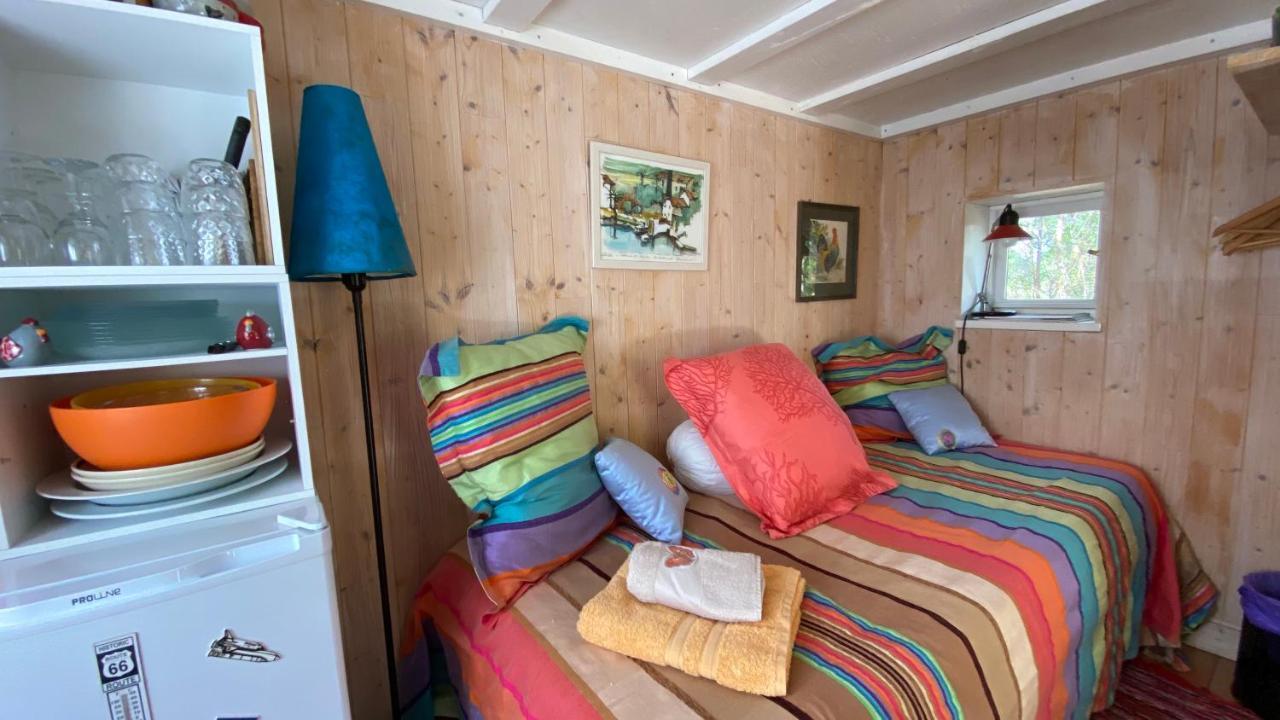 Le Petit Poulailler Au Beau Milieu Des Pins Villa Lacanau Exteriör bild