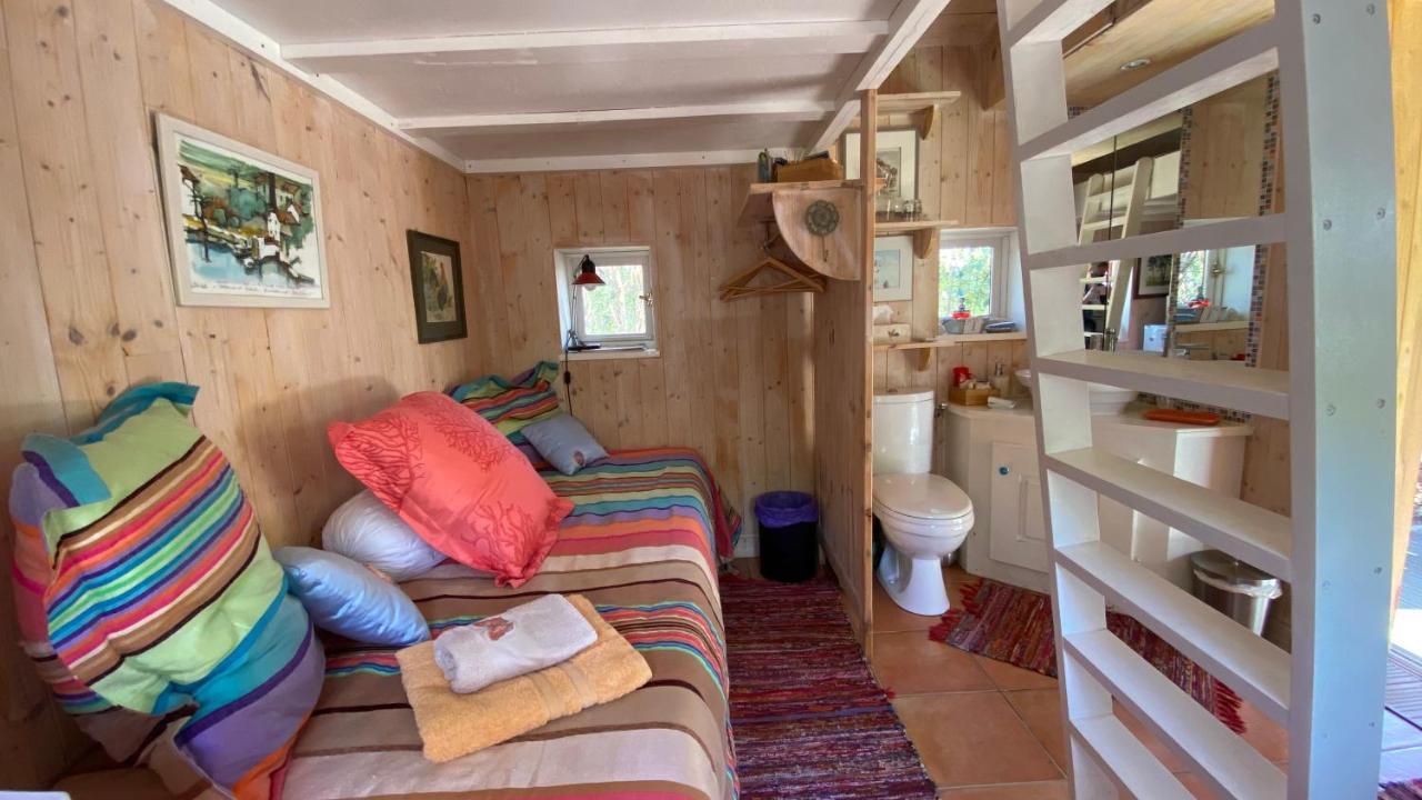 Le Petit Poulailler Au Beau Milieu Des Pins Villa Lacanau Exteriör bild