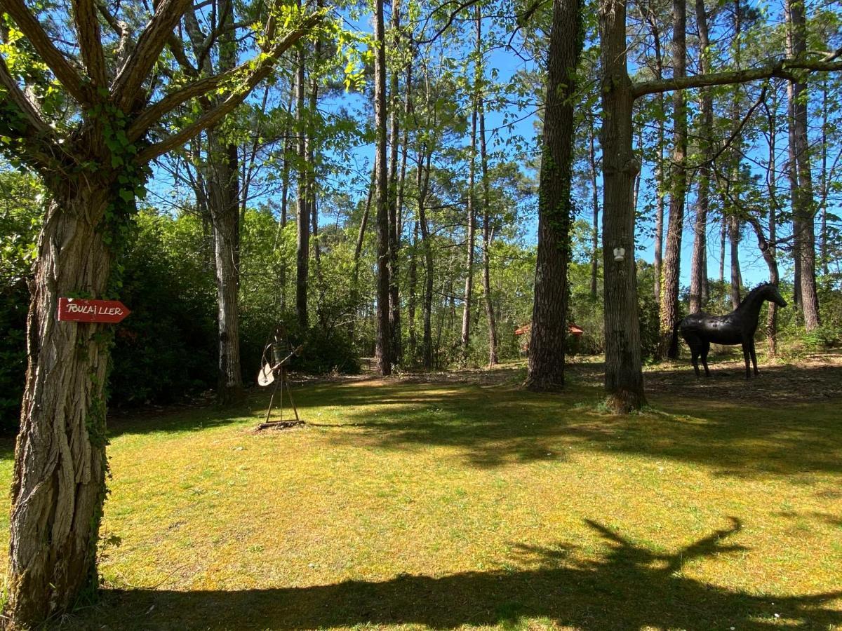 Le Petit Poulailler Au Beau Milieu Des Pins Villa Lacanau Exteriör bild