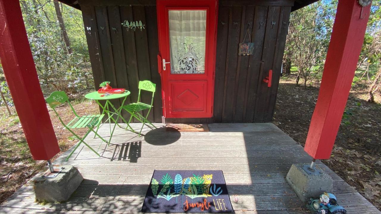 Le Petit Poulailler Au Beau Milieu Des Pins Villa Lacanau Exteriör bild