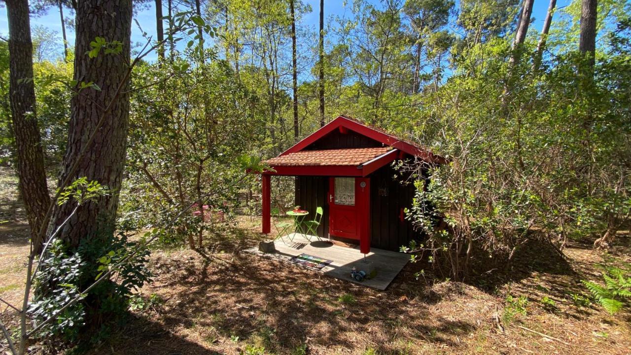 Le Petit Poulailler Au Beau Milieu Des Pins Villa Lacanau Exteriör bild