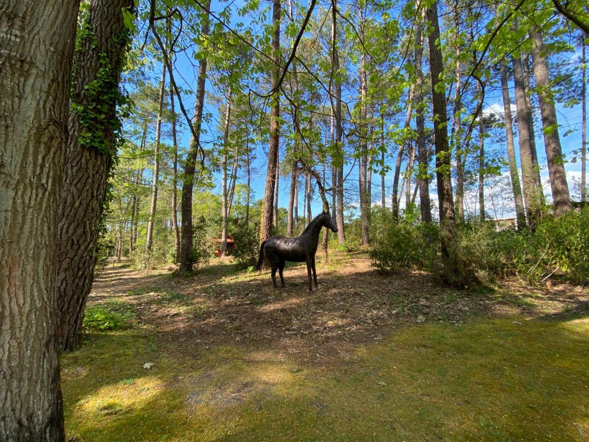 Le Petit Poulailler Au Beau Milieu Des Pins Villa Lacanau Exteriör bild
