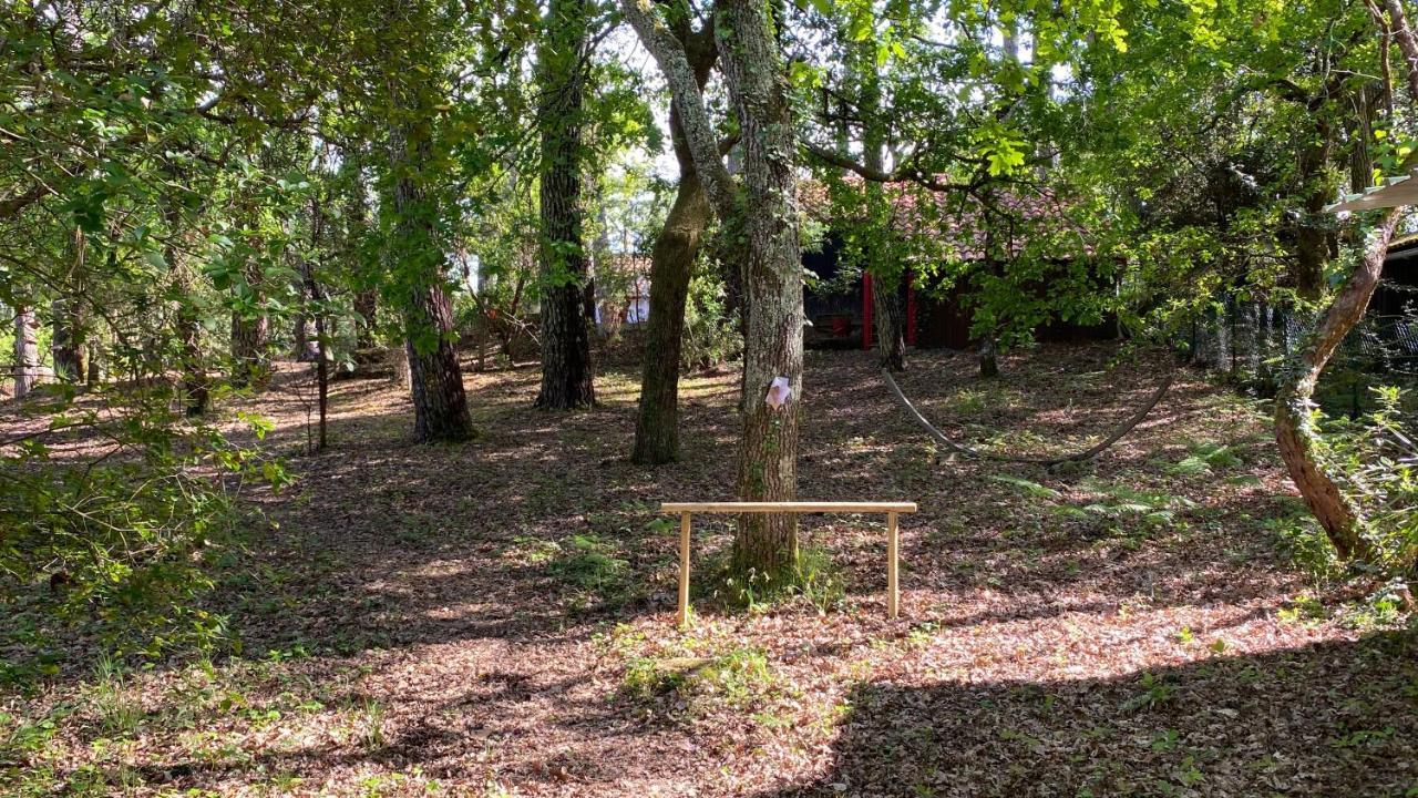 Le Petit Poulailler Au Beau Milieu Des Pins Villa Lacanau Exteriör bild
