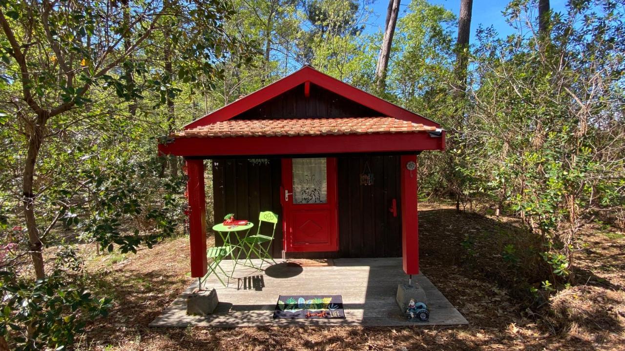 Le Petit Poulailler Au Beau Milieu Des Pins Villa Lacanau Exteriör bild