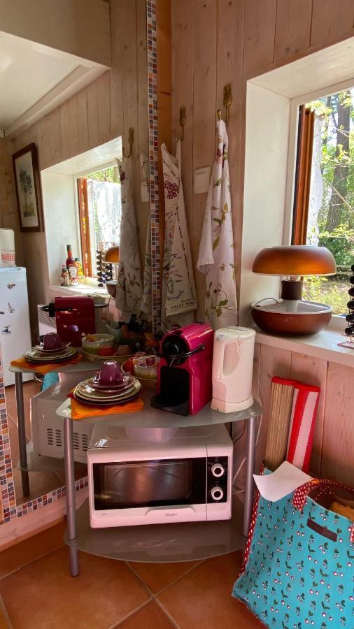 Le Petit Poulailler Au Beau Milieu Des Pins Villa Lacanau Exteriör bild