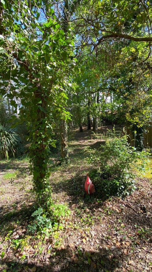 Le Petit Poulailler Au Beau Milieu Des Pins Villa Lacanau Exteriör bild