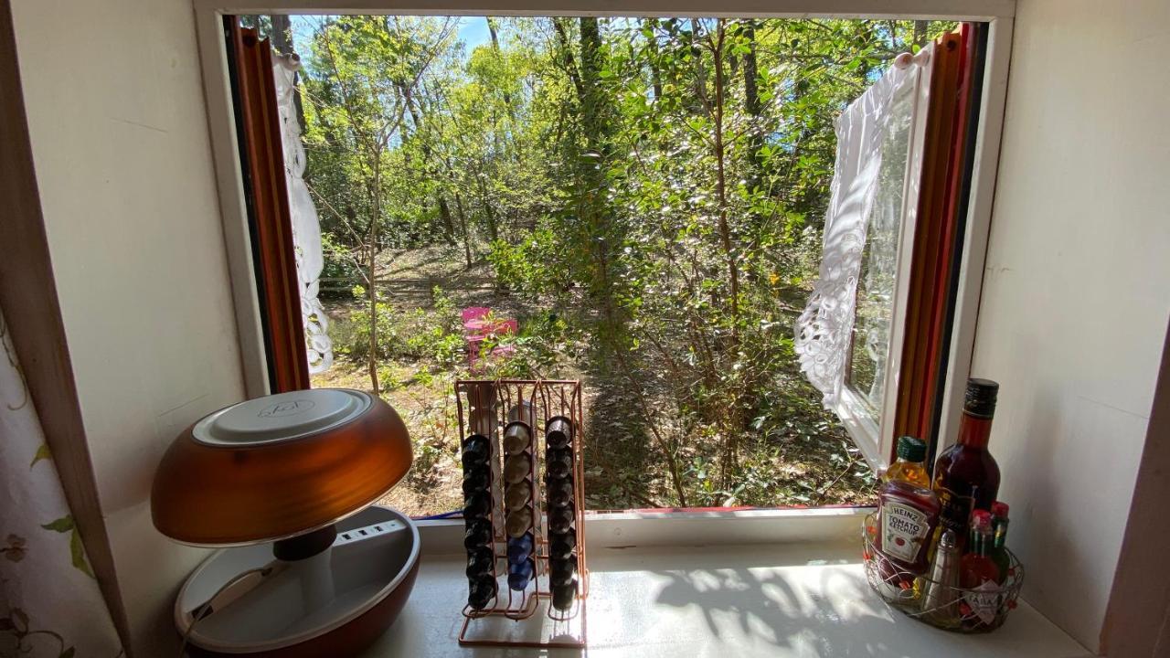 Le Petit Poulailler Au Beau Milieu Des Pins Villa Lacanau Exteriör bild