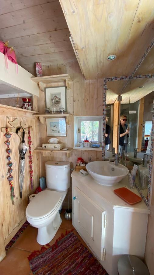 Le Petit Poulailler Au Beau Milieu Des Pins Villa Lacanau Exteriör bild