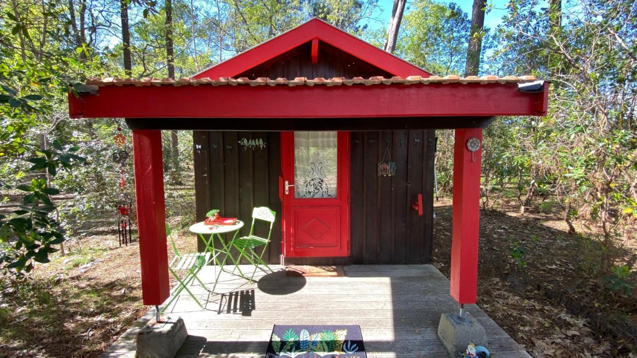 Le Petit Poulailler Au Beau Milieu Des Pins Villa Lacanau Exteriör bild
