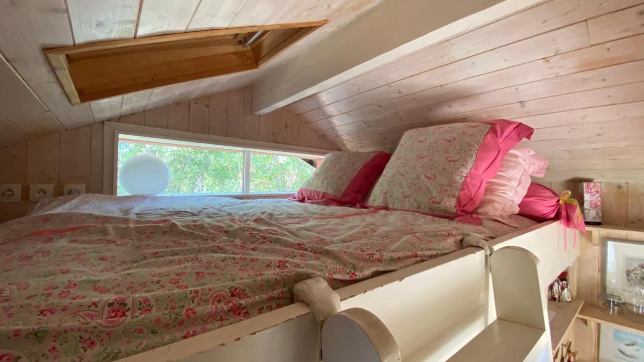 Le Petit Poulailler Au Beau Milieu Des Pins Villa Lacanau Exteriör bild