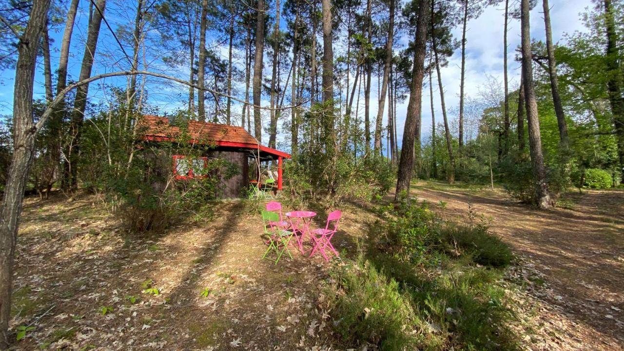 Le Petit Poulailler Au Beau Milieu Des Pins Villa Lacanau Exteriör bild