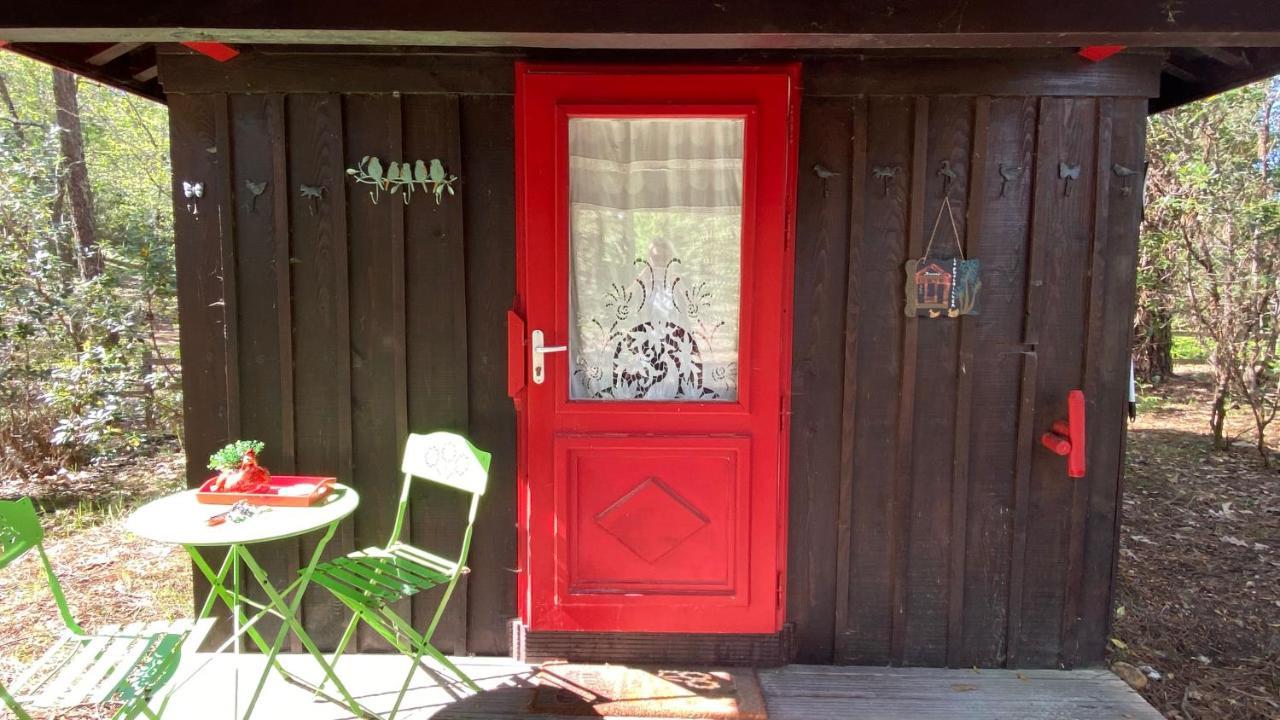 Le Petit Poulailler Au Beau Milieu Des Pins Villa Lacanau Exteriör bild