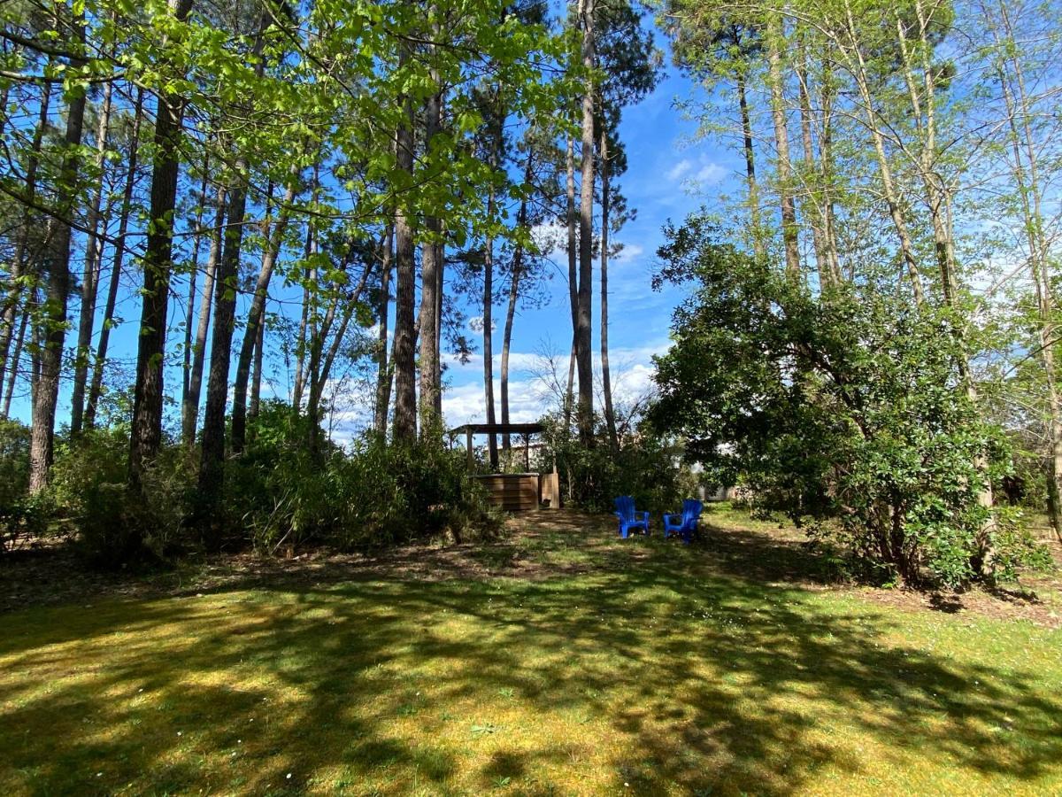 Le Petit Poulailler Au Beau Milieu Des Pins Villa Lacanau Exteriör bild