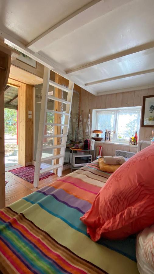 Le Petit Poulailler Au Beau Milieu Des Pins Villa Lacanau Exteriör bild