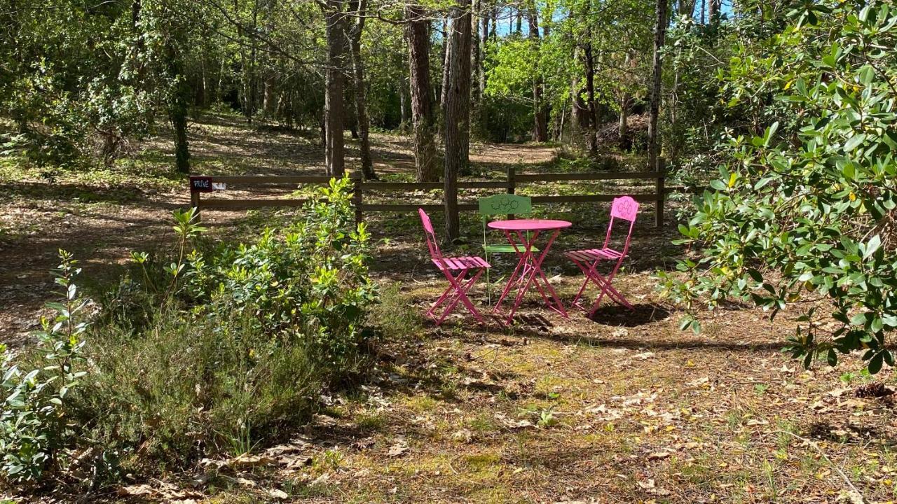 Le Petit Poulailler Au Beau Milieu Des Pins Villa Lacanau Exteriör bild